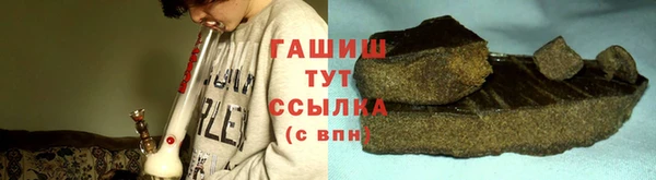 прущие грибы Абаза