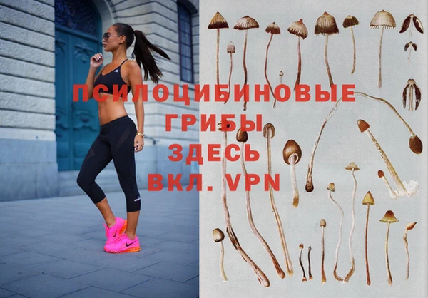 spice Абинск
