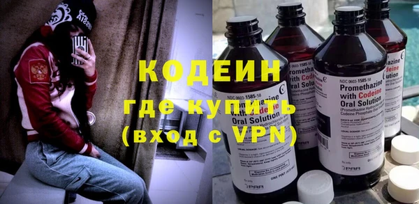 прущие грибы Абаза