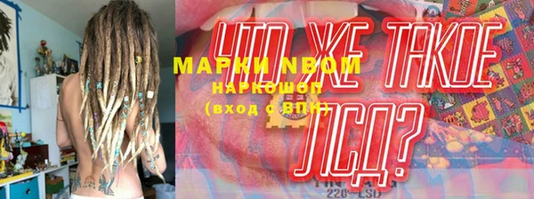 эйфоретик Алзамай