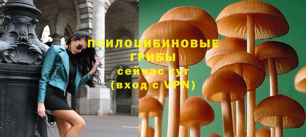 прущие грибы Абаза