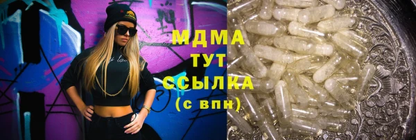 прущие грибы Абаза