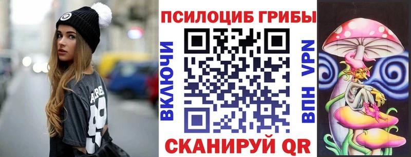 Псилоцибиновые грибы Cubensis  Ухта 